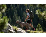 MOVA Sure Track Pro lokalizator GPS dla zwierząt - 1576498 - zdjęcie 10